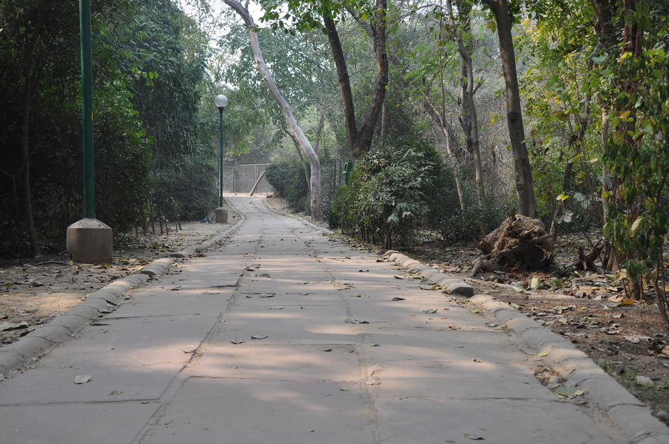 Photo of Hauz Khas Village, New Delhi 7/26 by Shubhangi Misra