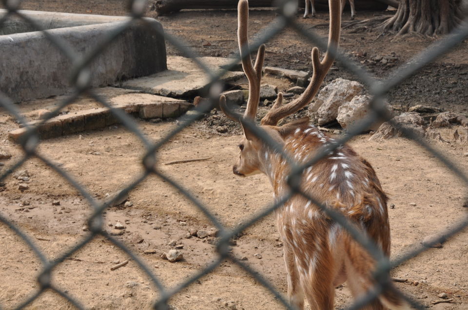 Photo of Hauz Khas Village, New Delhi 21/26 by Shubhangi Misra