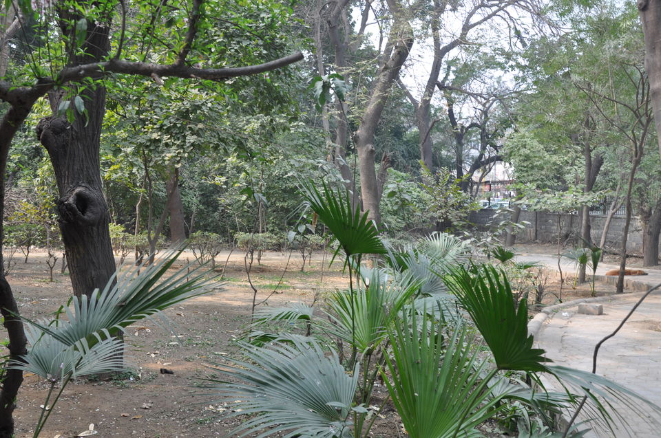 Photo of Hauz Khas Village, New Delhi 22/26 by Shubhangi Misra
