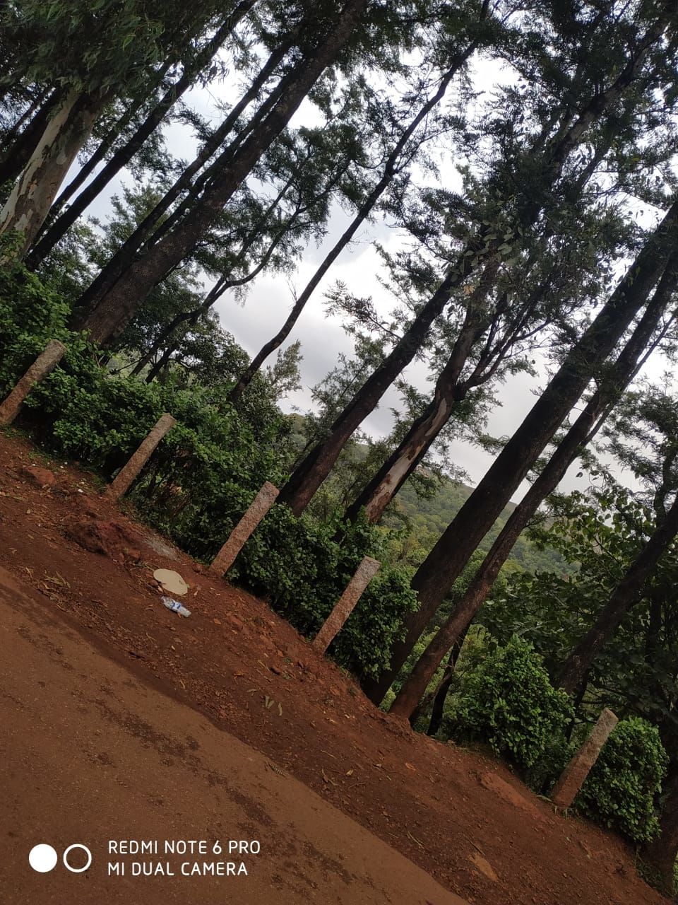 Photo of Anytime felt like you lost yourself!....here you have beautiful destination that welcomes you:) 3/25 by sowjanya