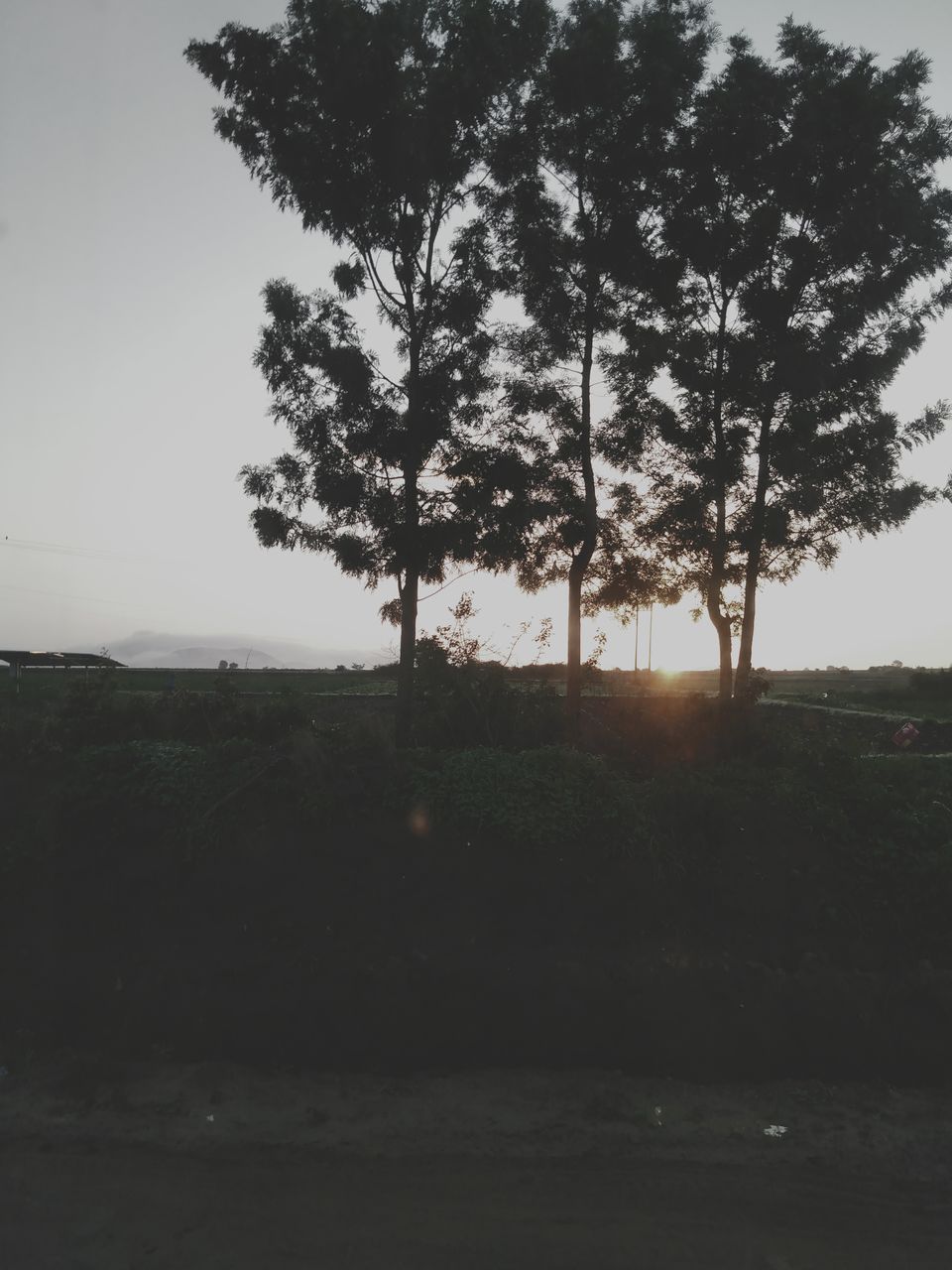 Photo of Anytime felt like you lost yourself!....here you have beautiful destination that welcomes you:) 1/25 by sowjanya