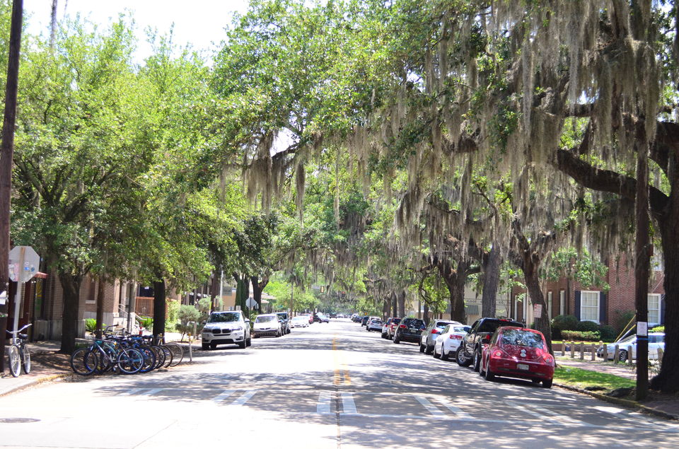 Photo of Weekend Getaway in Savannah, GA 1/1 by WanderNiks