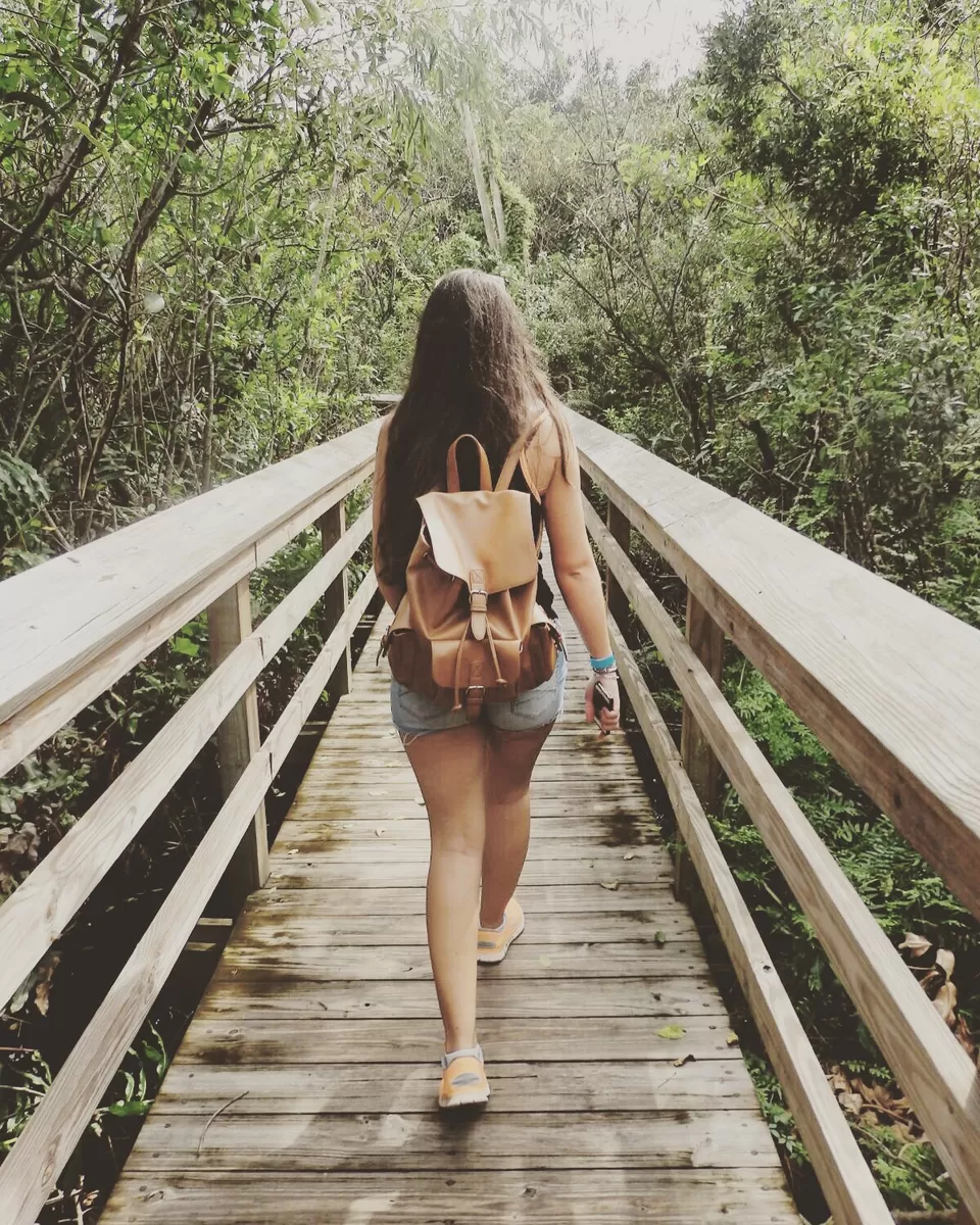 Photo of Everglades, Floride, États-Unis by WanderNiks