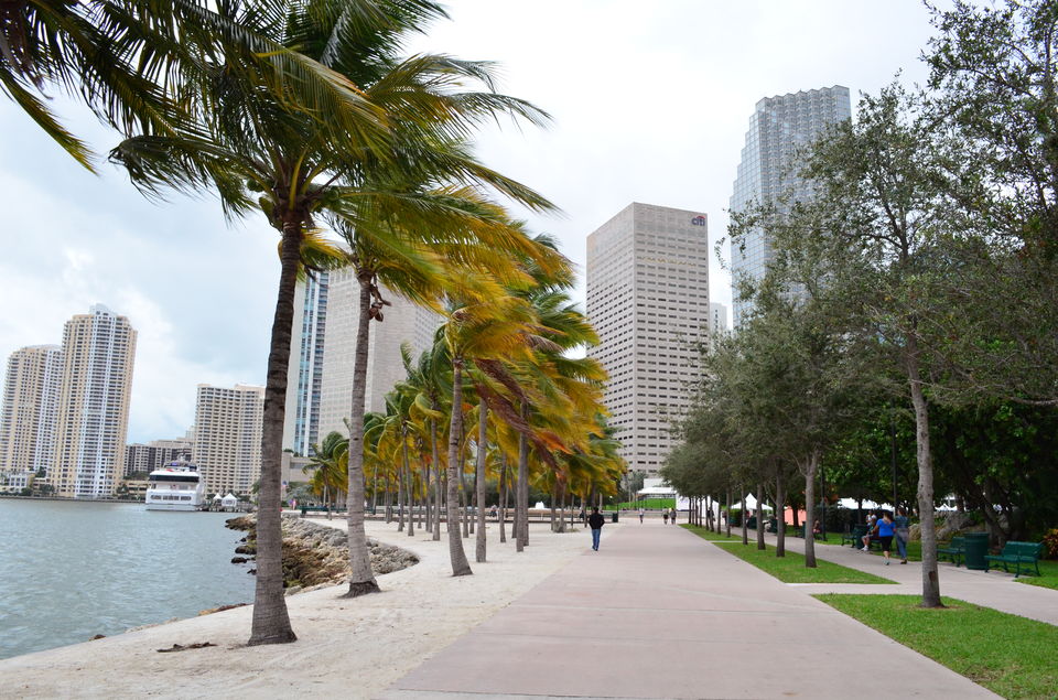 Photo of Road Trip in Florida...by BUS 1/1 by WanderNiks