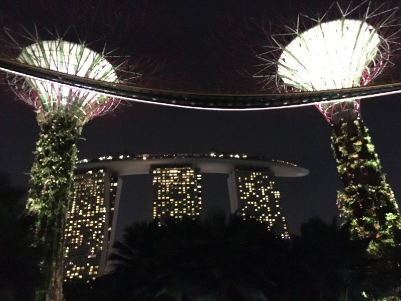 Photo of Gardens By the Bay Singapore - The Fairlyland 1/5 by Ashween