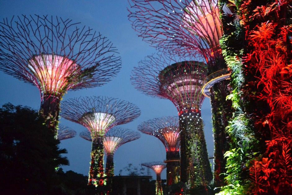 Photo of Gardens By the Bay Singapore - The Fairlyland 3/5 by Ashween