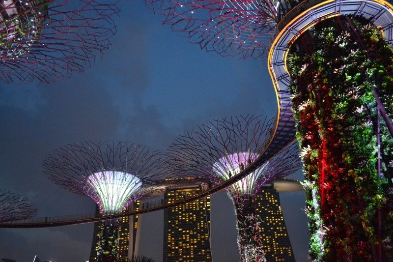 Photo of Gardens By the Bay Singapore - The Fairlyland 4/5 by Ashween