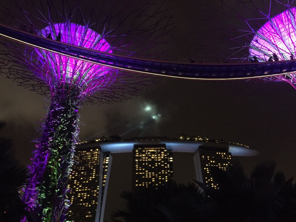 Photo of Gardens By the Bay Singapore - The Fairlyland 5/5 by Ashween