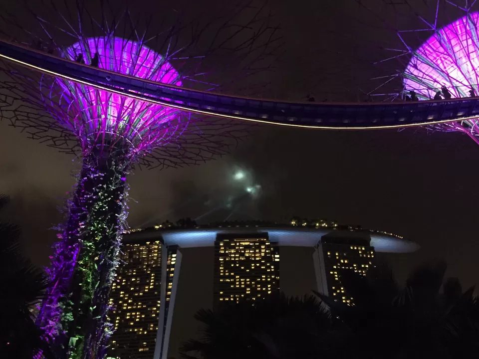 Photo of Gardens by the Bay, 18 Marina Gardens Dr, Singapore 018953 by Ashween