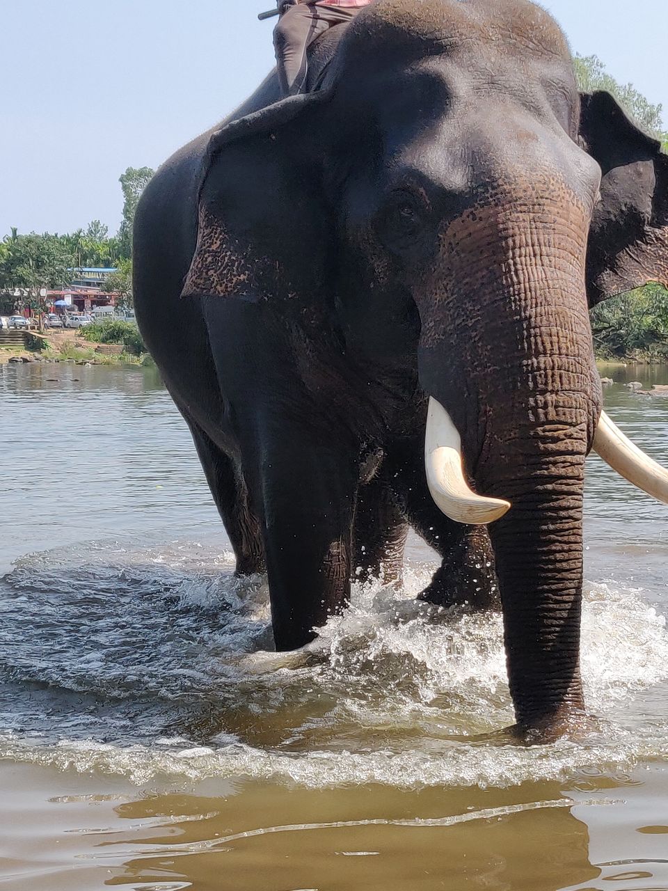 Photo of Coorg, Karnataka, India by Vishakha Srivastava