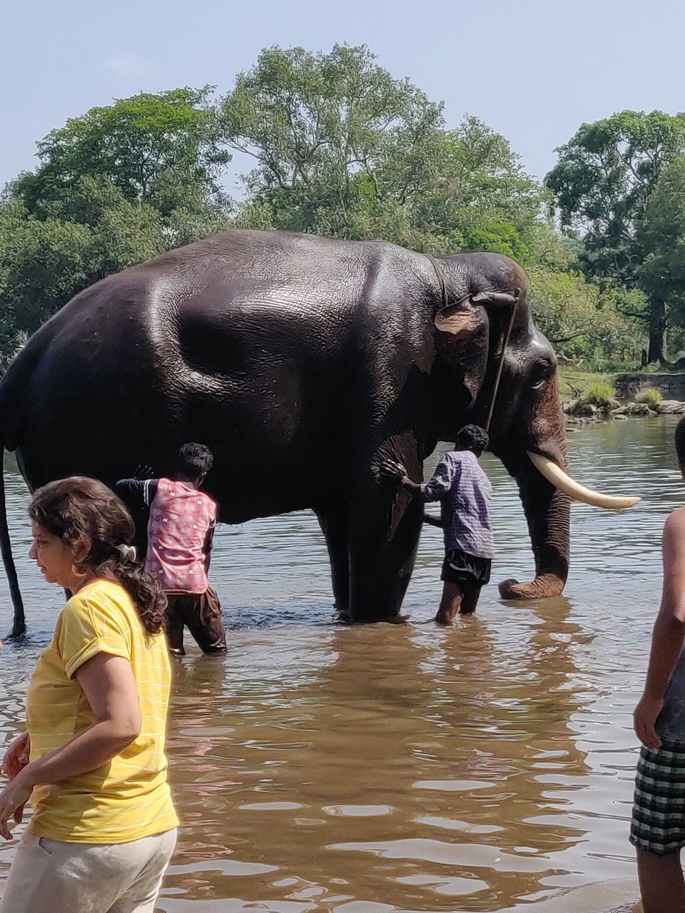 Photo of Coorg, Karnataka, India by Vishakha Srivastava