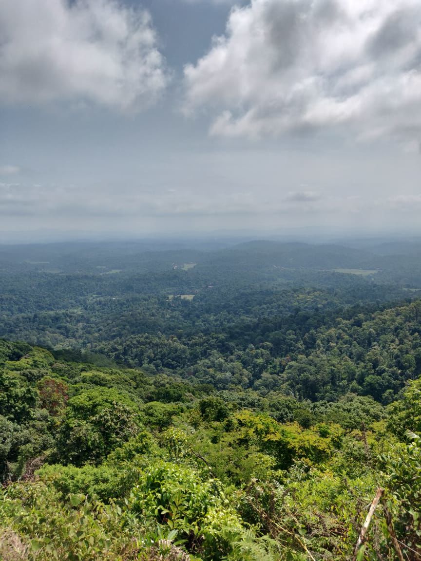 Photo of Weekend Escapade to Coorg by Vishakha Srivastava