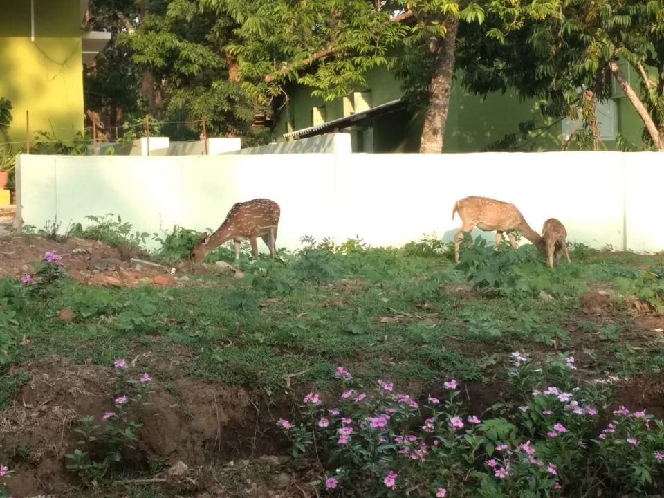 Photo of Weekend Escapade to Coorg by Vishakha Srivastava