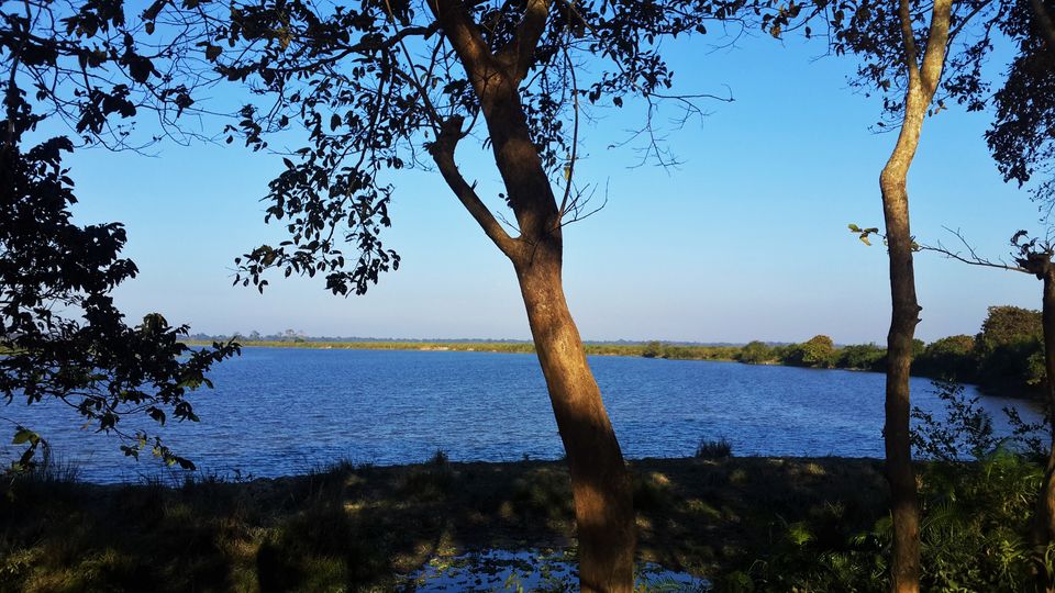 Photo of A Love Letter to Kaziranga*. by Avilasha Sarmah