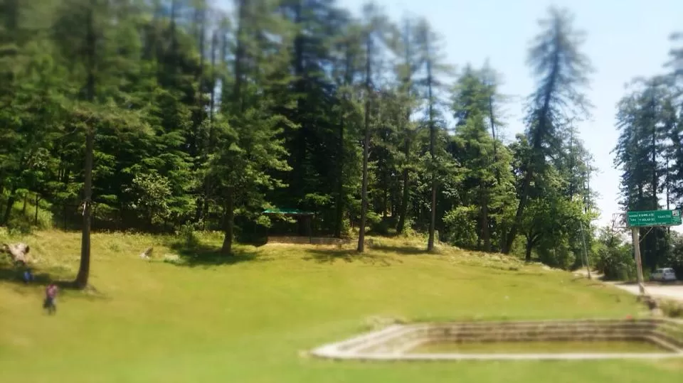 Photo of Mashobra, Mashobra, Himachal Pradesh, India by Sukriti Somvanshi