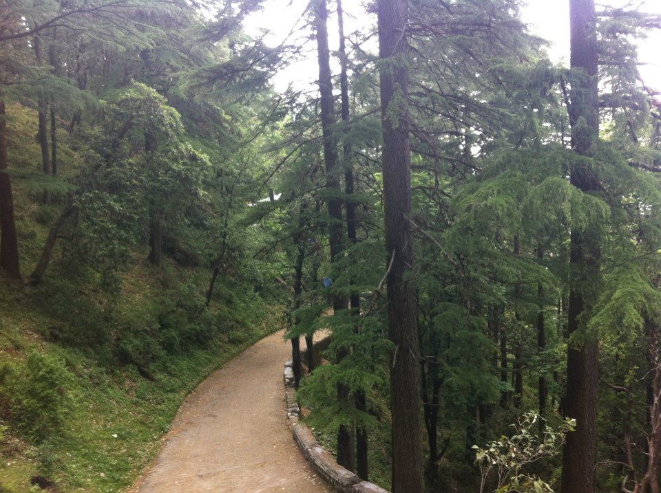 Photo of Weekend Getaway to Mussoorie-Landour 4/8 by Sukriti Somvanshi