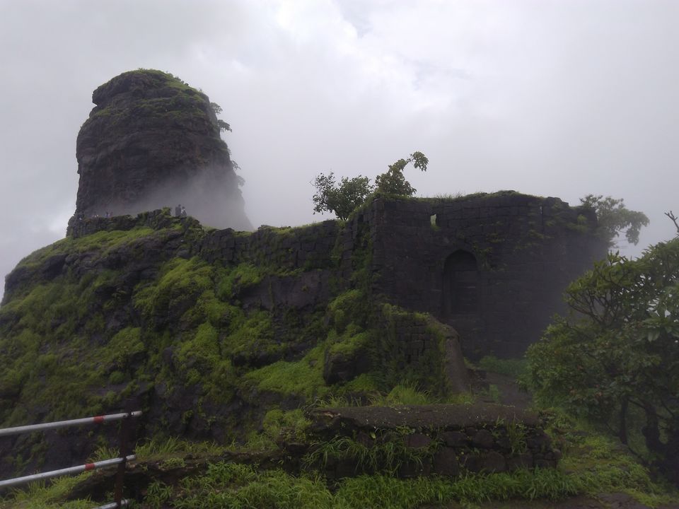 Photo of 1 Day Trek near Mumbai - Karnala Fort by Amruta