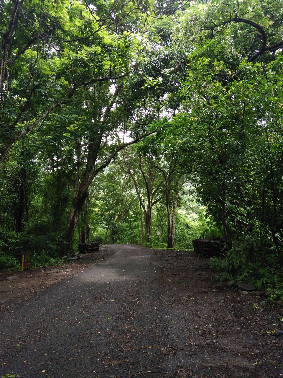 Photo of 1 Day Trek near Mumbai - Karnala Fort 1/8 by Amruta