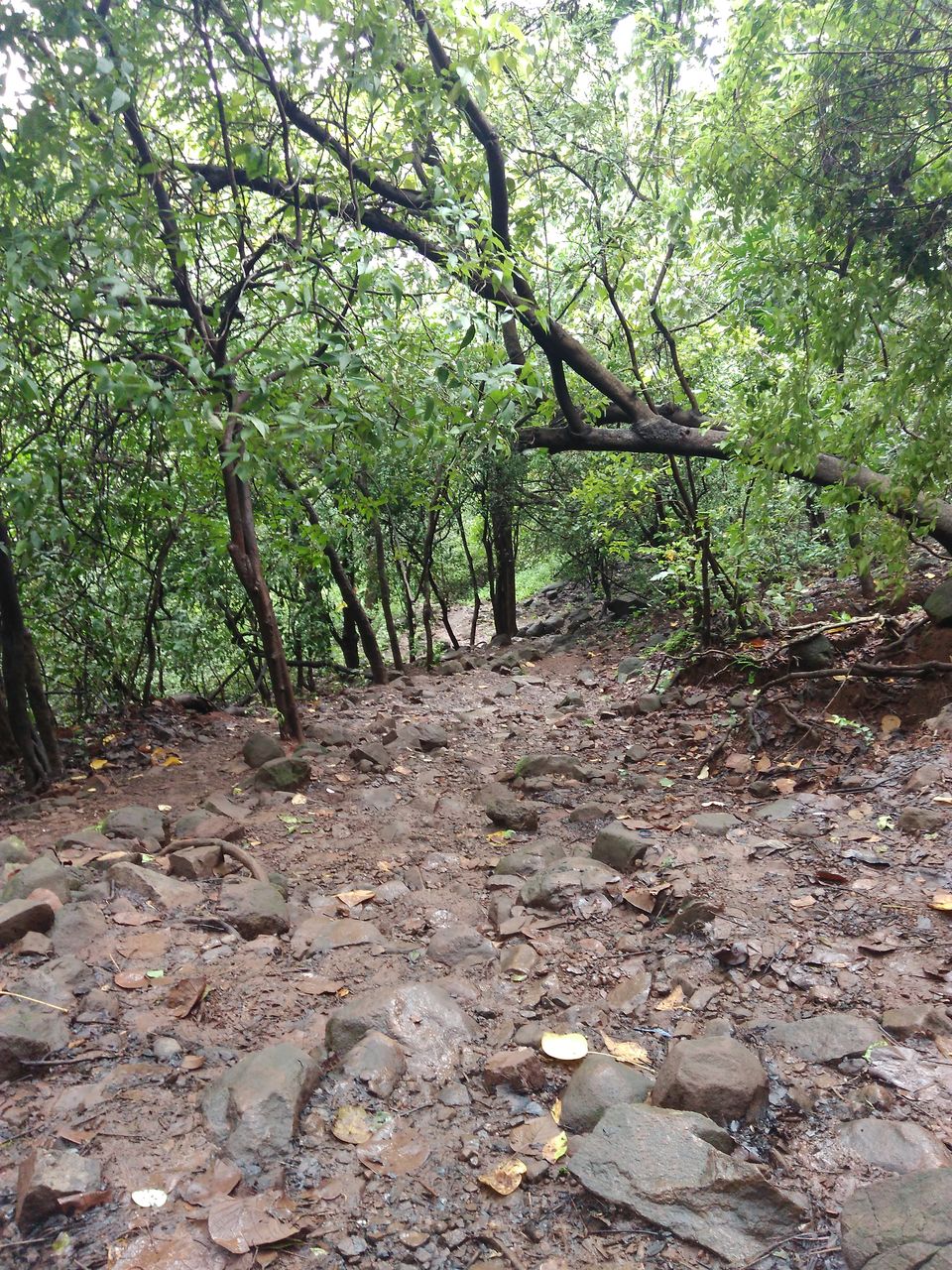 Photo of 1 Day Trek near Mumbai - Karnala Fort 3/8 by Amruta
