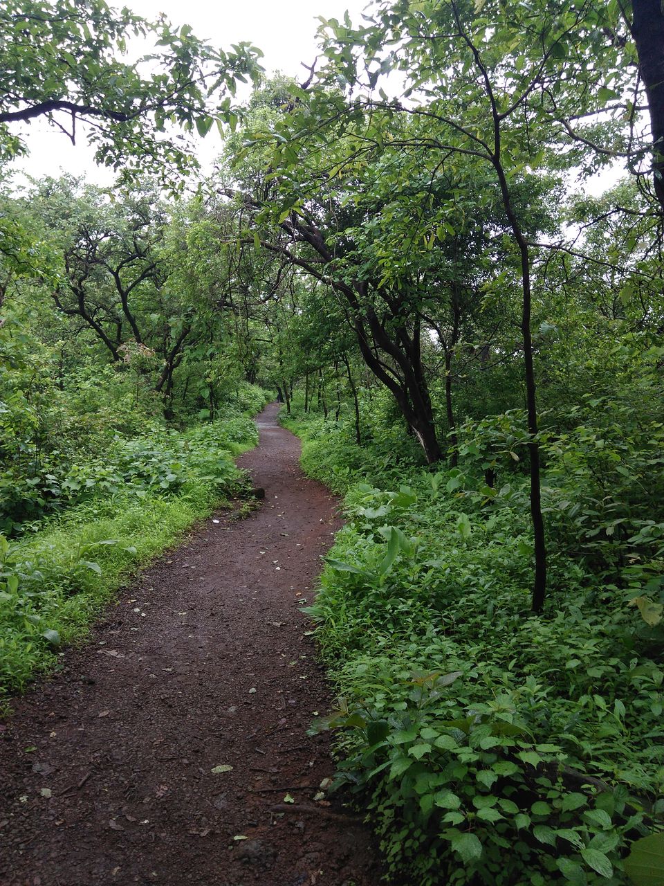 Photo of 1 Day Trek near Mumbai - Karnala Fort 4/8 by Amruta