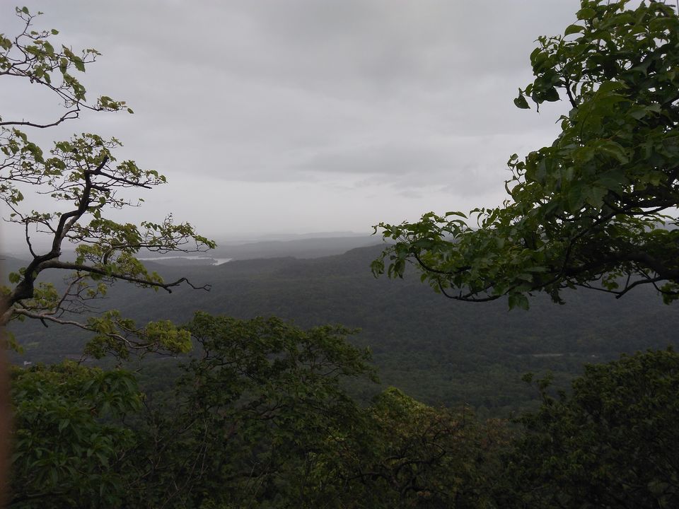 Photo of 1 Day Trek near Mumbai - Karnala Fort 5/8 by Amruta