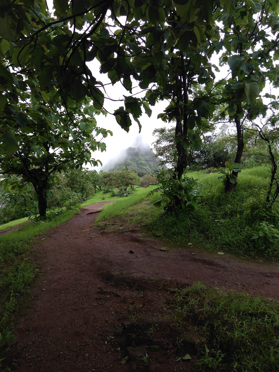 Photo of 1 Day Trek near Mumbai - Karnala Fort 6/8 by Amruta