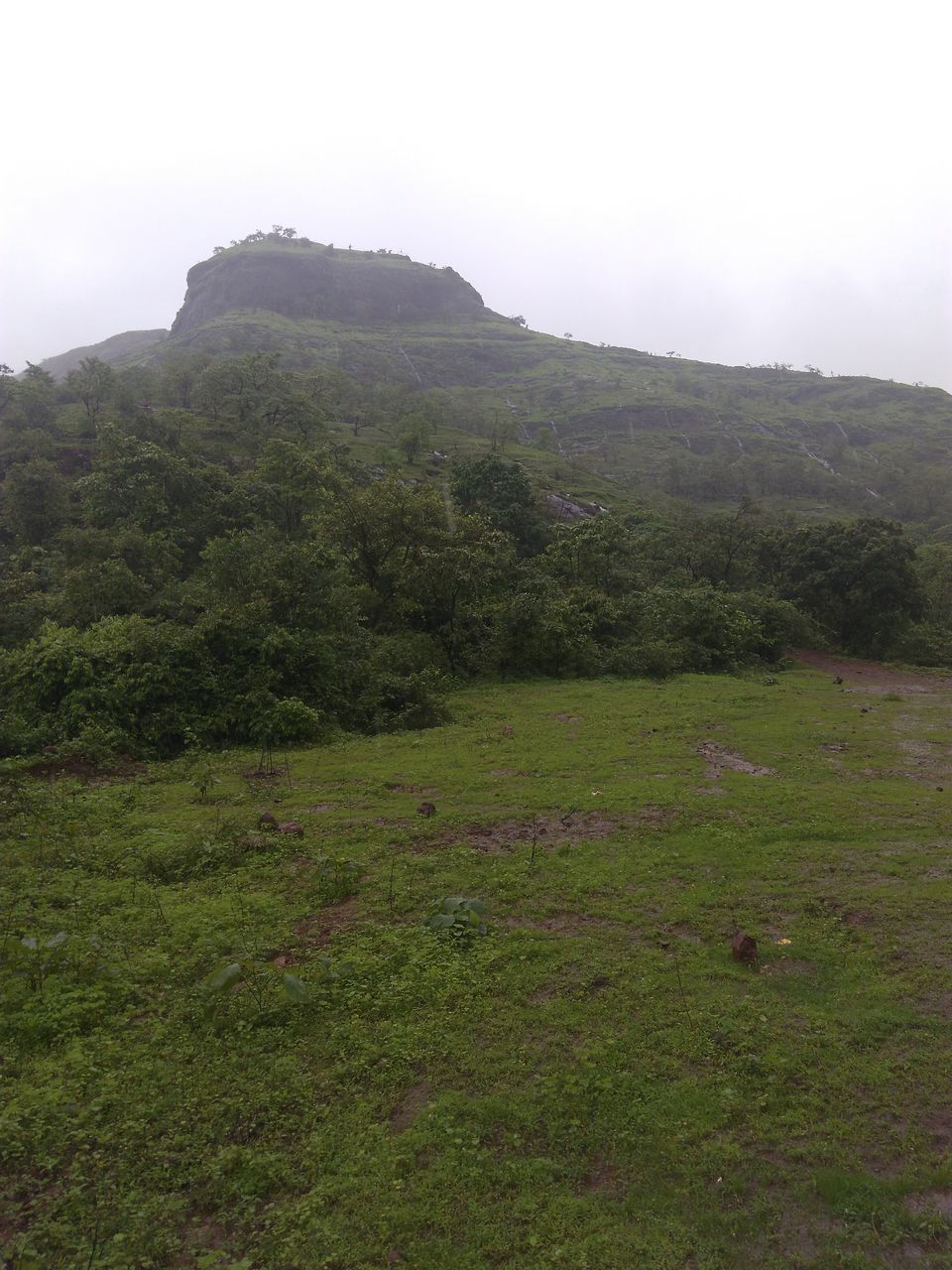 Photo of 1 day trek near Mumbai - Sondai Trek 1/1 by Amruta