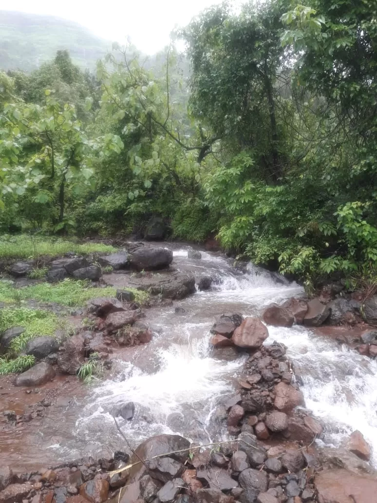 Photo of Karjat, Maharashtra, India by Amruta
