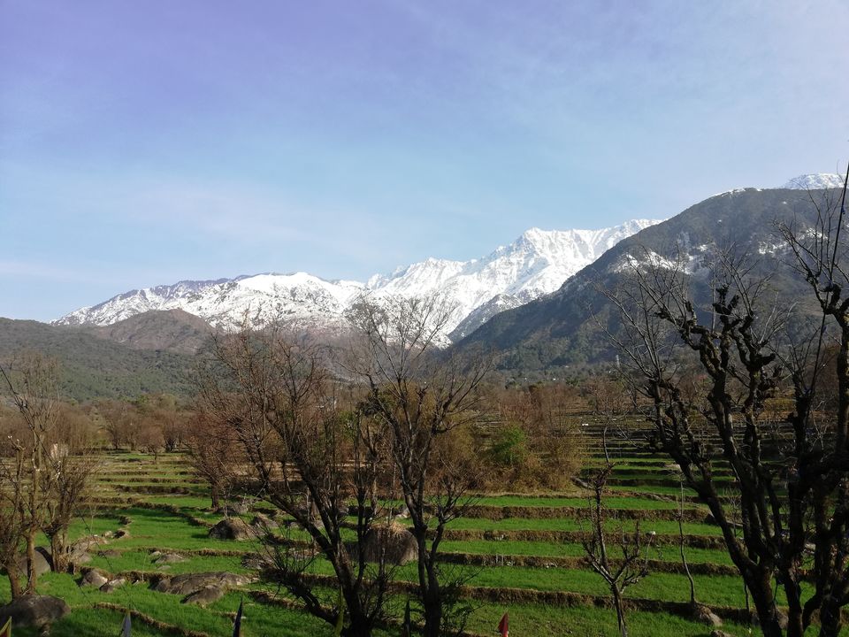 Photo of Chandigarh-Dharmashala-McLeodganj-Amritsar by Amruta