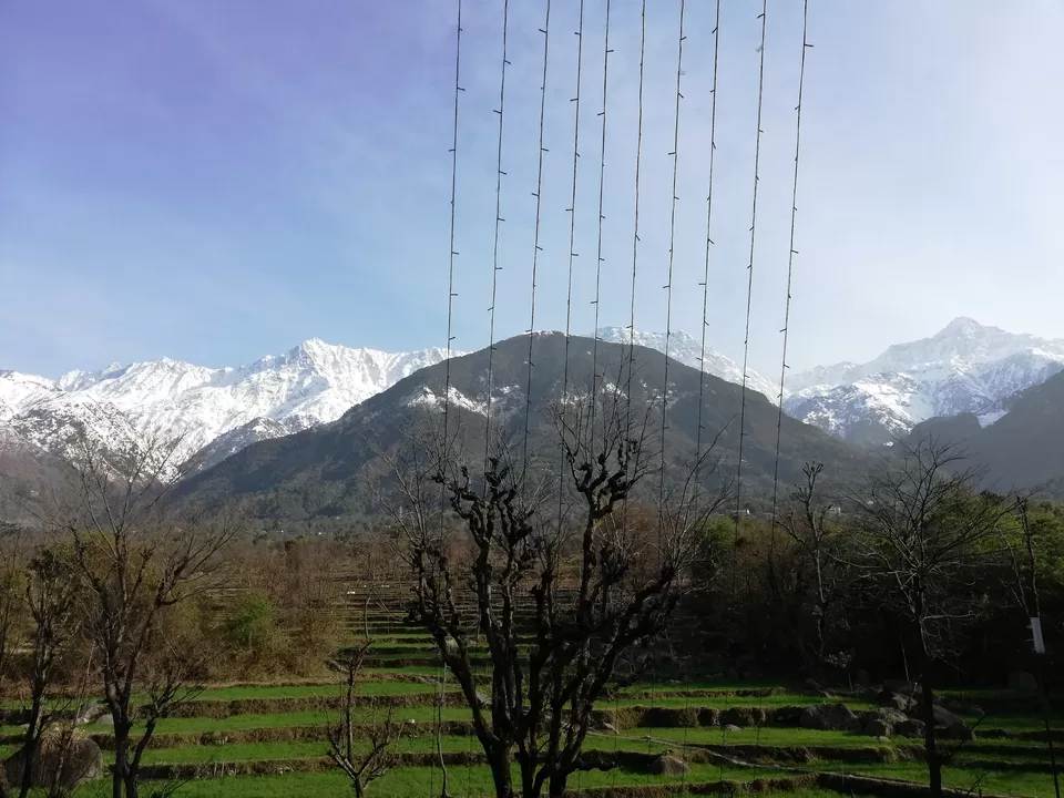 Photo of Dharamshala, Himachal Pradesh, India by Amruta
