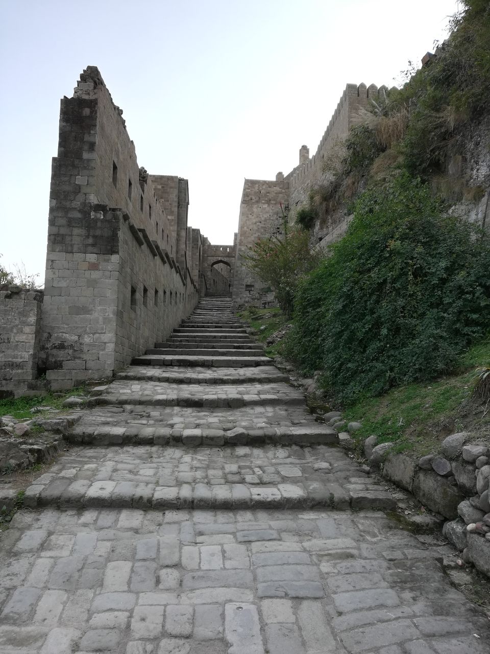Photo of Chandigarh-Dharmashala-McLeodganj-Amritsar by Amruta