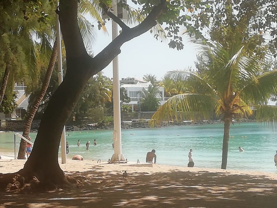 Photo of Pamplemousses, Mauritius by Amruta