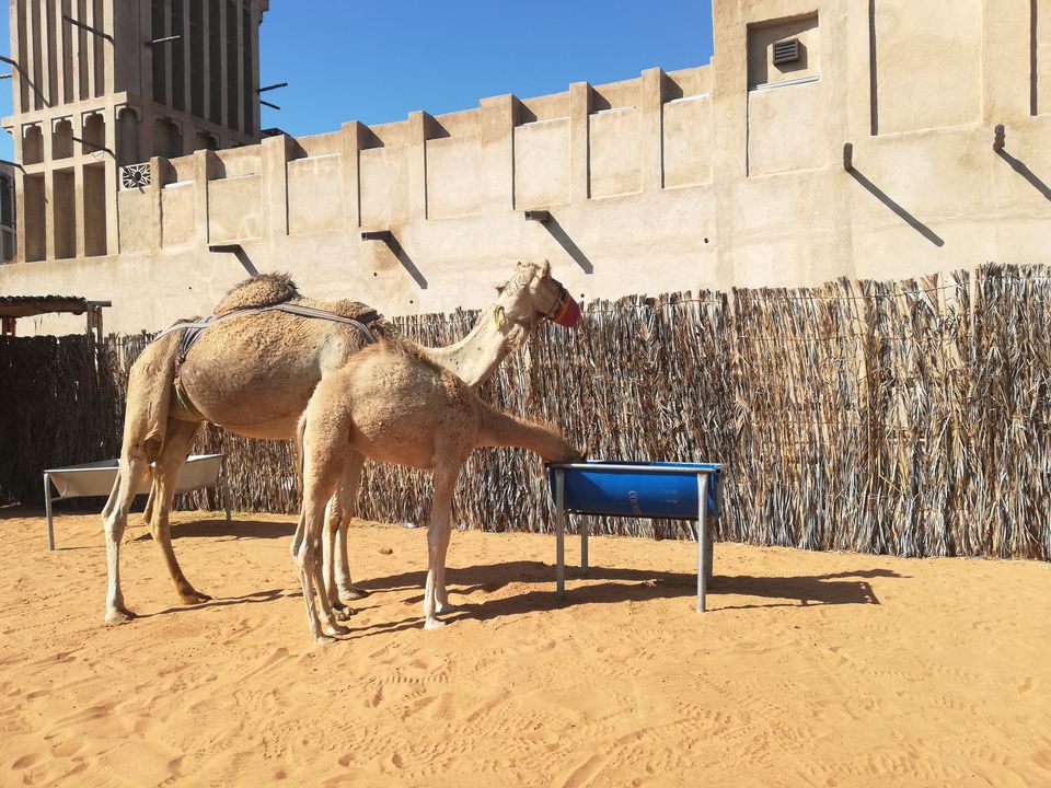 Photo of Wall of Old Dubai - Al Faheide - Dubai - United Arab Emirates by Amruta