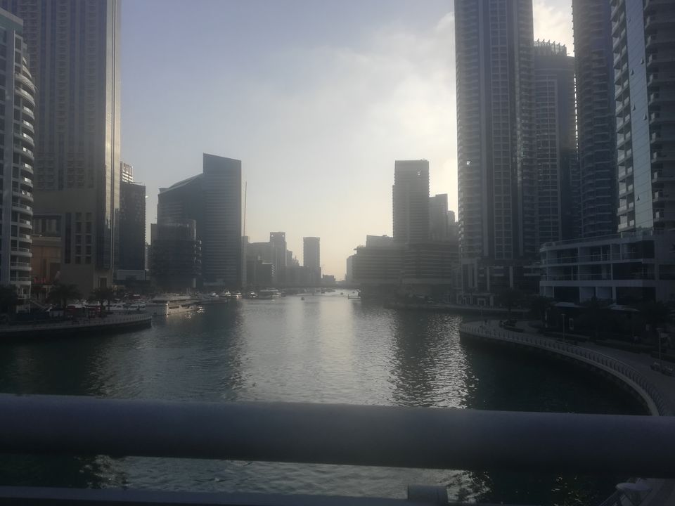 Photo of Dubai Marina - Dubai - United Arab Emirates by Amruta