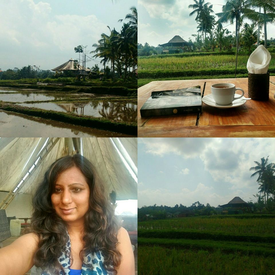 Photo of Dive into, walk across, and run into your dreams - the different shades and sides of Bali!!!! 15/15 by Rajani Rai