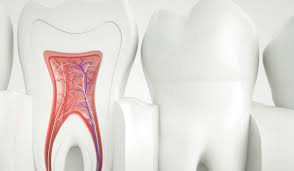 Photo of علاج قناة الجذر في دبي: التميز في الرعاية by Dynamic Clinic
