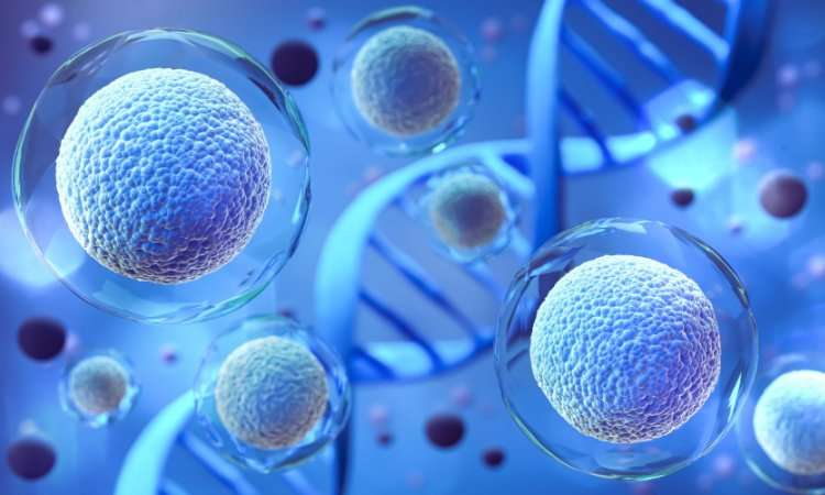 Photo of How Does Regenerative Medicine Transform Healing Processes? by Dynamic Clinic