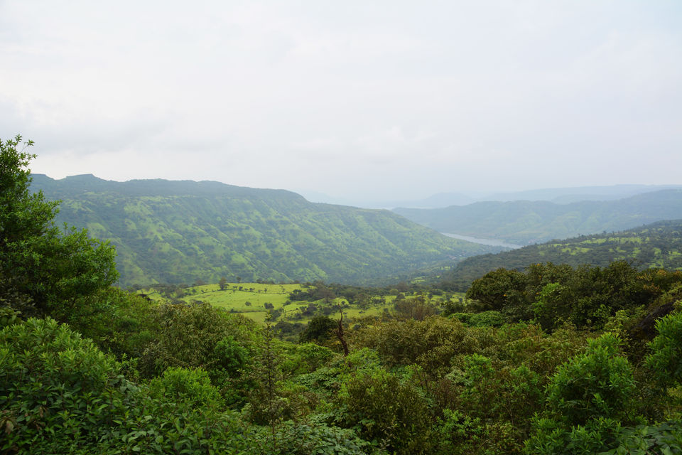 Photo of Plateau of Flowers-Kaas Plateau 5/5 by Chinar Patil