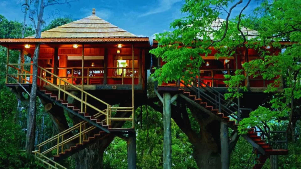 Photo of Love Greenery? Visit These 9 Amazing Places In Kerala! by TravelJunkies ✔
