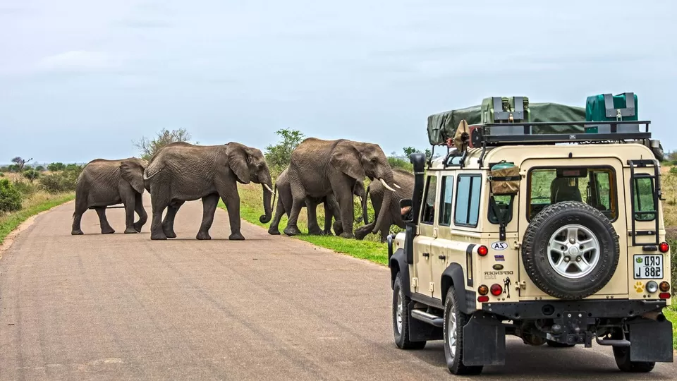 Photo of How to Travel to South Africa Without Flying? Legal and Unique Alternatives by TravelJunkies ✔