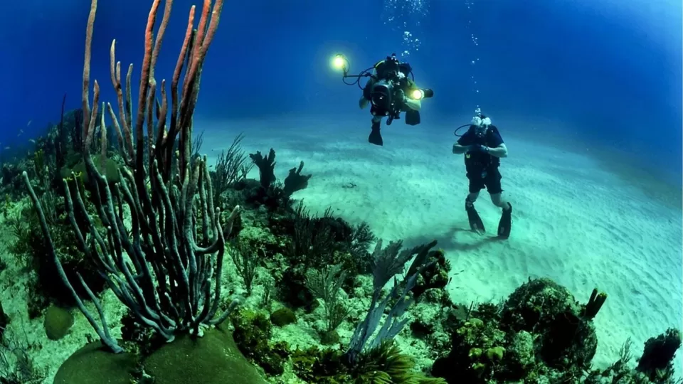 Photo of Top Reasons To Experience the Magic of Puducherry This Year by TravelJunkies ✔