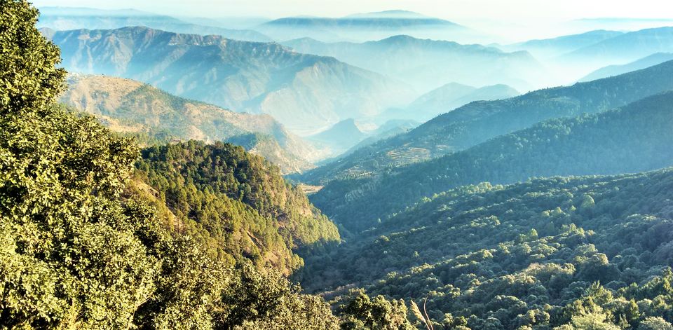 Photo of Hidden Haven in the Himalayas: Pangot 4/11 by Parul