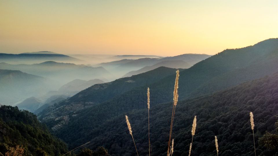 Photo of Hidden Haven in the Himalayas: Pangot 5/11 by Parul