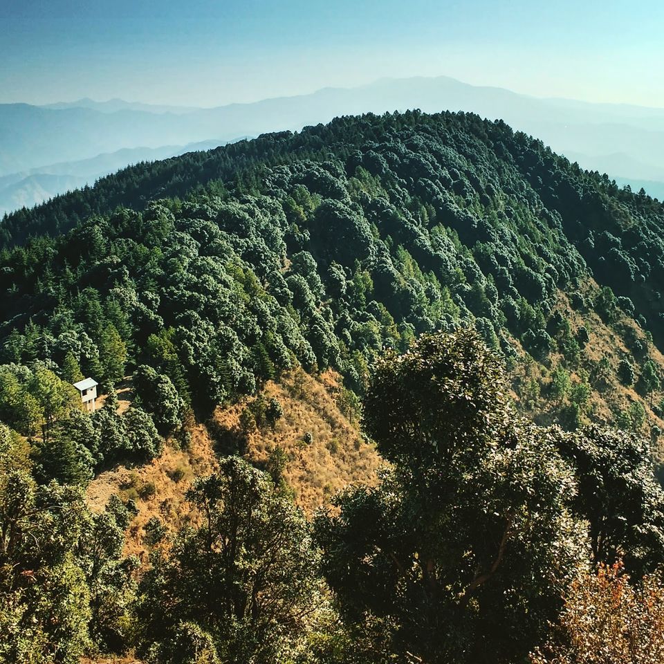 Photo of Kali Ka Tibba Chail, Himachal Pradesh 1/3 by Atishay Jain