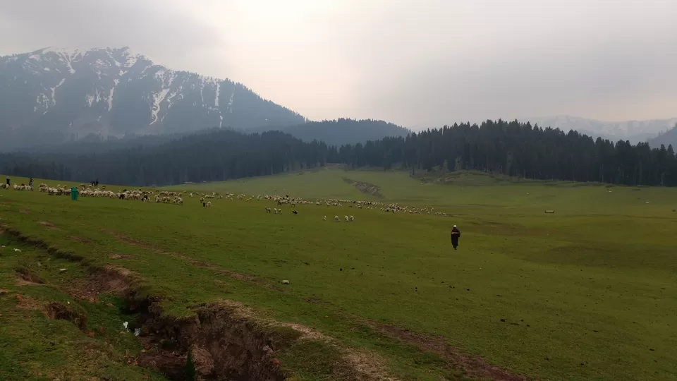 Photo of Doodhpathri by Atishay Jain
