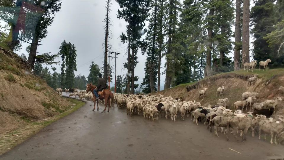 Photo of Doodhpathri by Atishay Jain