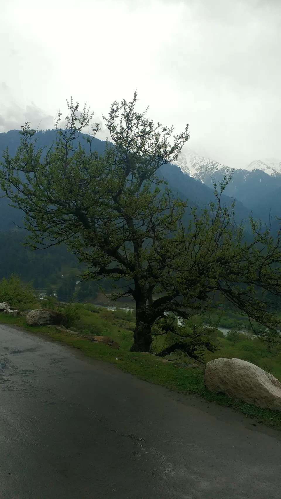 Photo of Doodhpathri by Atishay Jain