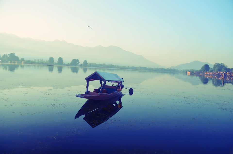 Photo of Nigeen Lake & Dal Lake, Srinagar 7/10 by Atishay Jain