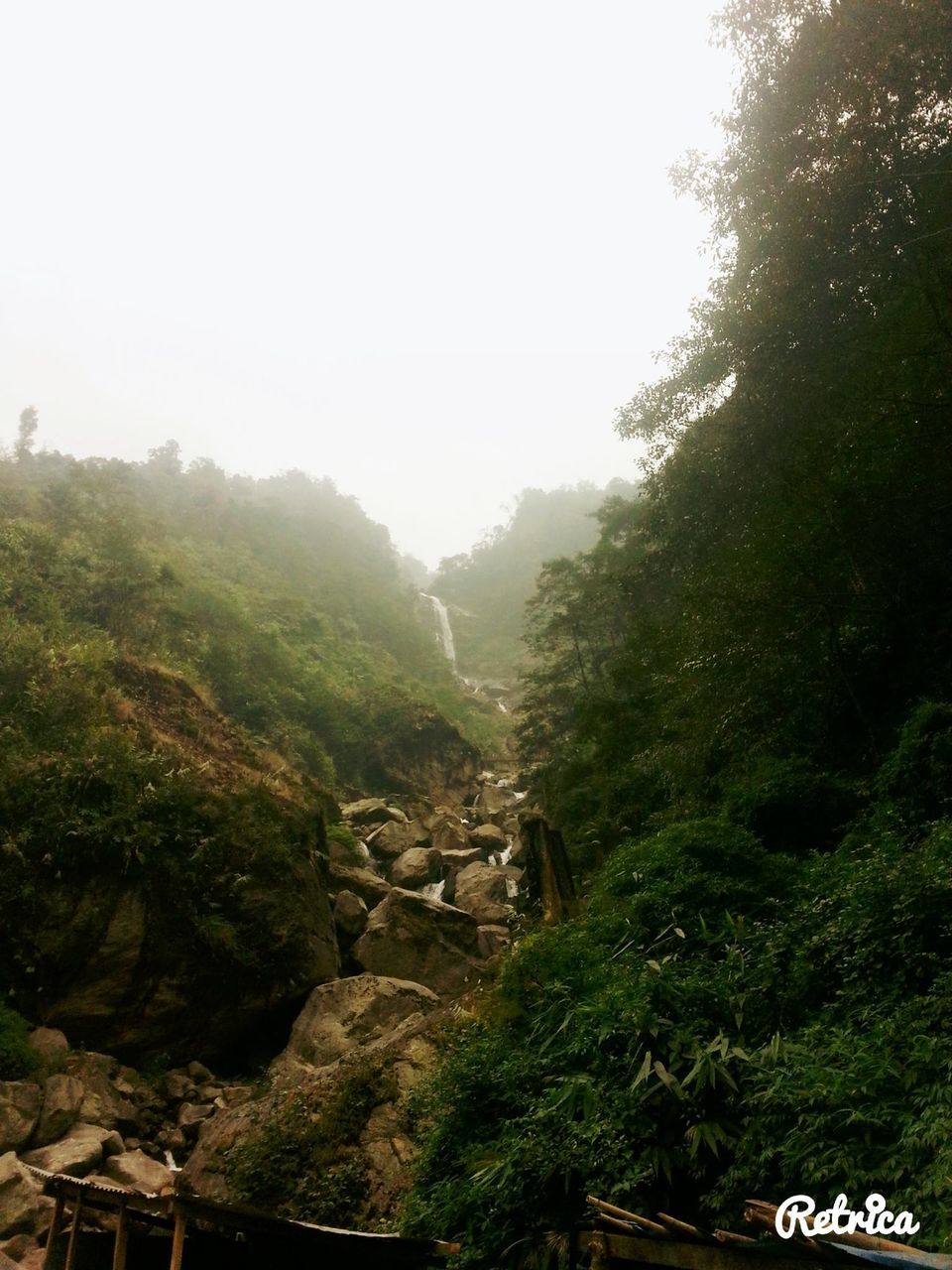 Photo of Sikkim Tales 11/13 by Shreya Bohra