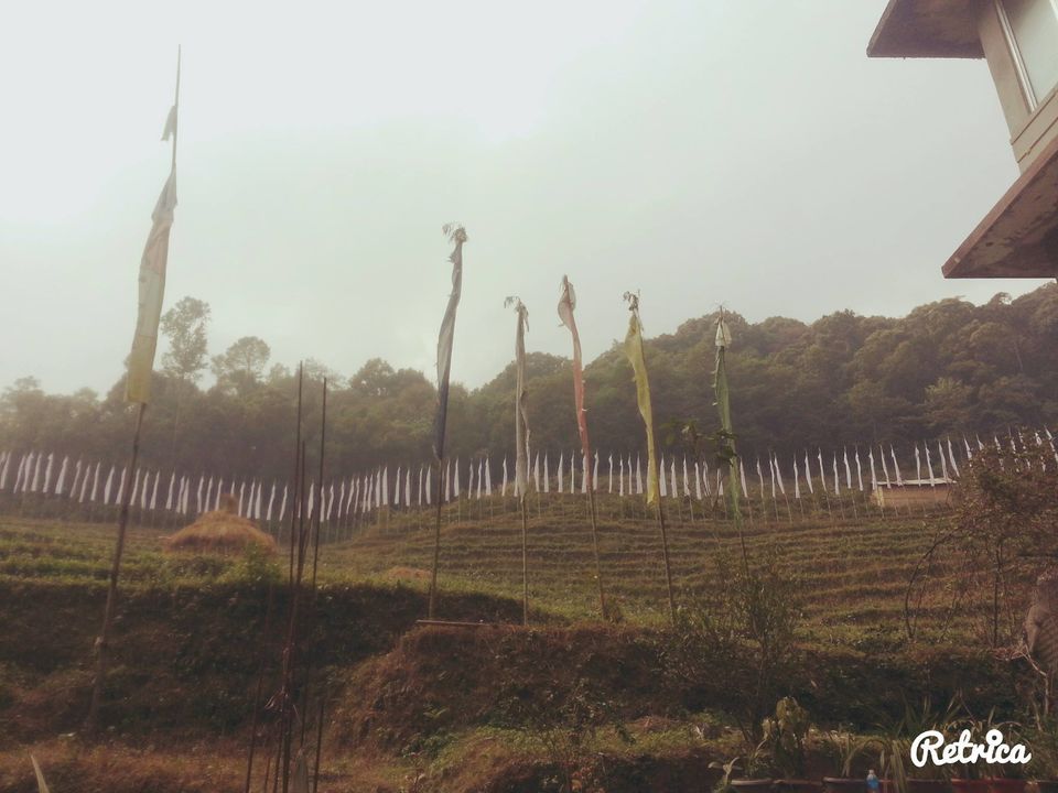 Photo of Sikkim Tales 8/13 by Shreya Bohra
